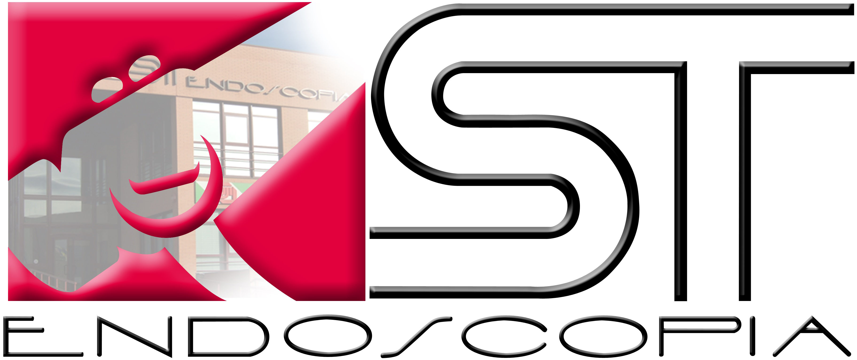 ST-ENDOSCOPIA